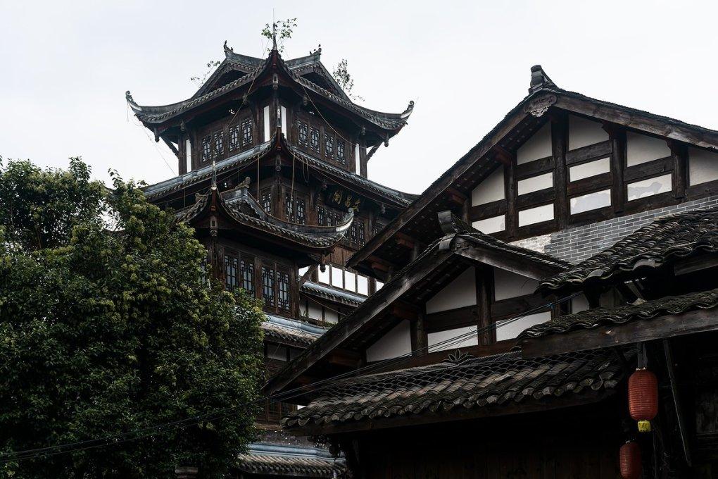 小艾比摄影家